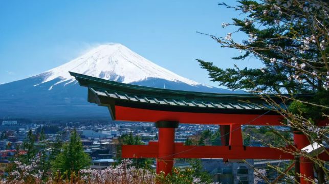 東京富士山全景一日遊|新倉山淺間公園&日川時計店&忍野八海&河口湖大石公園&網紅羅森便利店【東京出發】