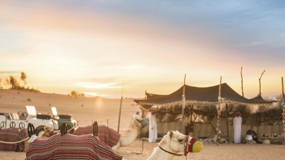 Dubai Morning Heritage Bedouin Culture Safari