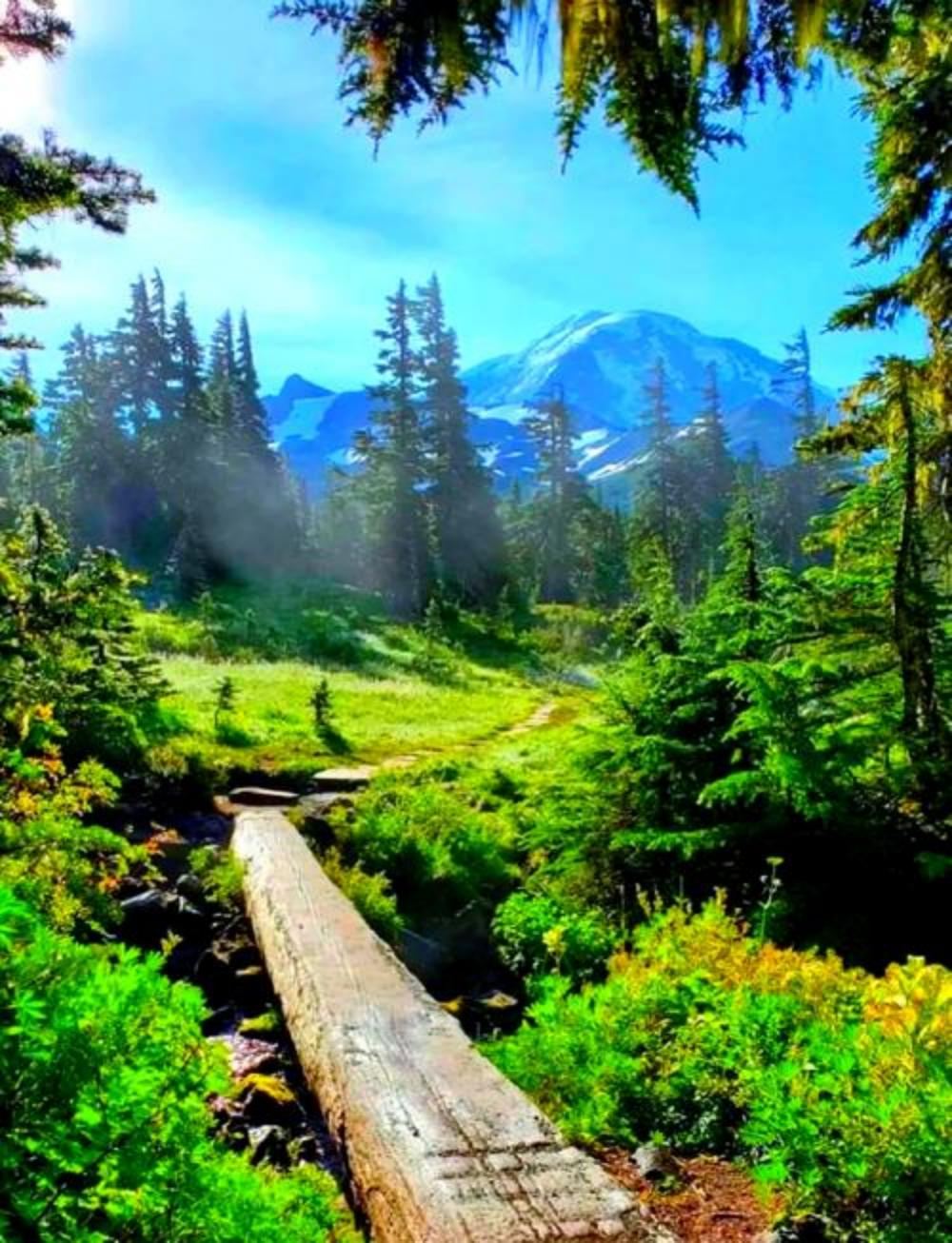 美國西雅圖雷尼爾納拉達瀑布一日遊/行程可調-可訂製多日