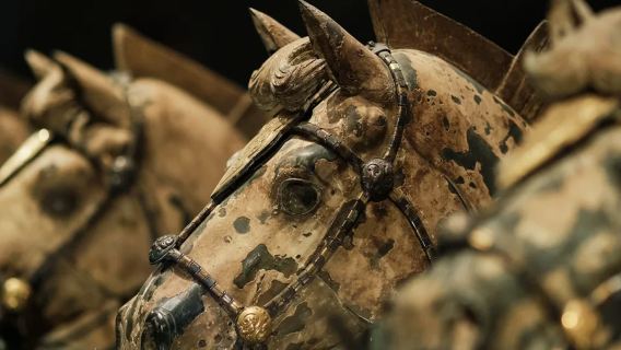 ตั๋วเข้าชม ทหารดินเผา + ไกด์ พร้อมไกด์ ภาษาจีนกลาง /อังกฤษ/บริการกลุ่มเล็ก/รวมสวนลี่ซาน