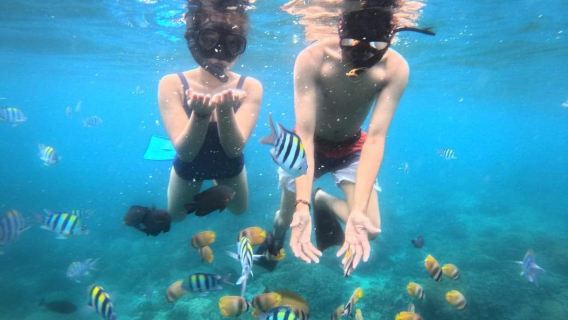 Bali Blue Lagoon Snorkeling and Tenganan Village Day Tour (Including Transfer and Guide)