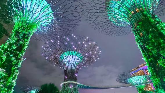 新加坡必打卡N大網紅地（魚尾獅、巨型樹洞、新加坡濱海灣花園免門票）