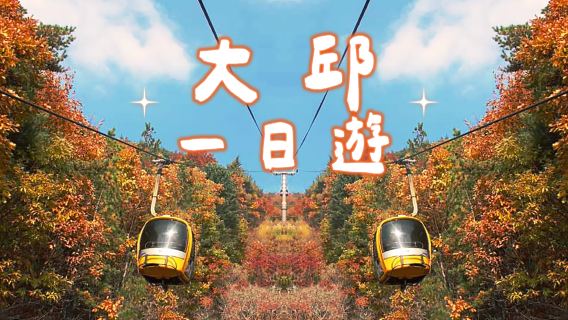 Daegu|Songhae Park x Palgongsan cable car x Busan Aquarium x Seaside Train *Depart from Busan