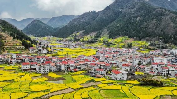 漢中精品油菜花一日遊（多條路線選擇可查看詳情頁）