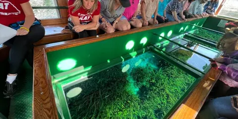 奧蘭多出發銀泉海牛獨木舟及玻璃船日遊