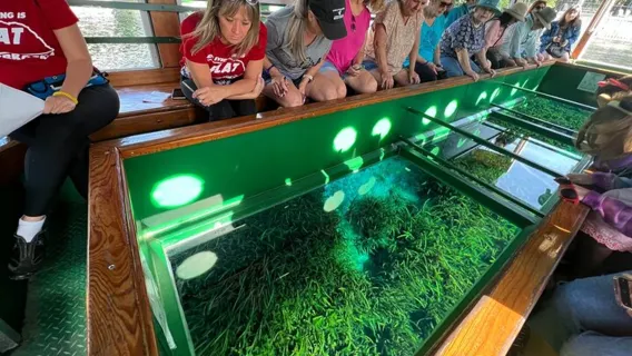 Tour giornaliero in kayak tra i manati e barca con fondo di vetro a Silver Springs da Orlando