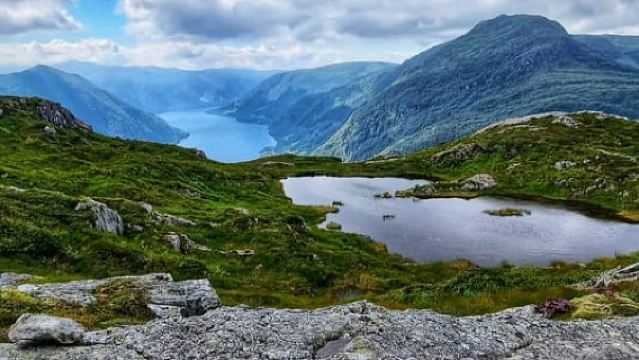 Bergen: Senderismo por los fiordos - Visita pública