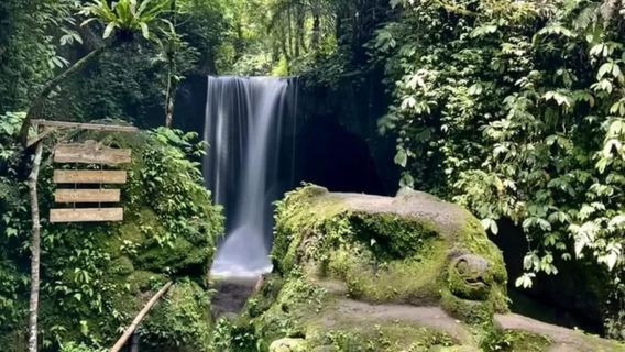 Ubud Hidden Gems: Waterfall Tour