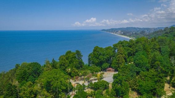 Thành phố Batumi - Vườn bách thảo - Pháo đài Petra từ Kutaisi