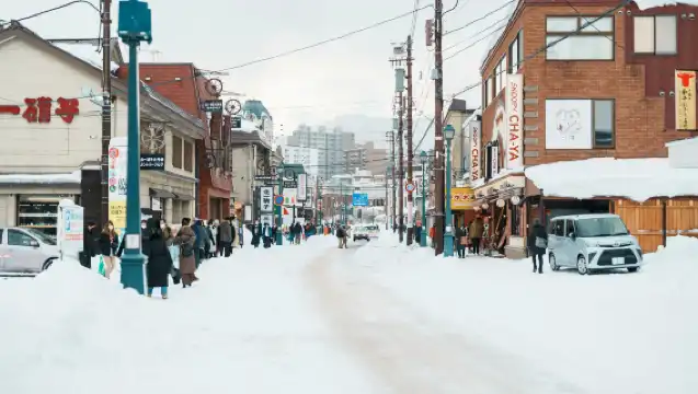 日本北海道小樽一日遊｜天狗山｜札幌來回｜尋找《情書》中的美景