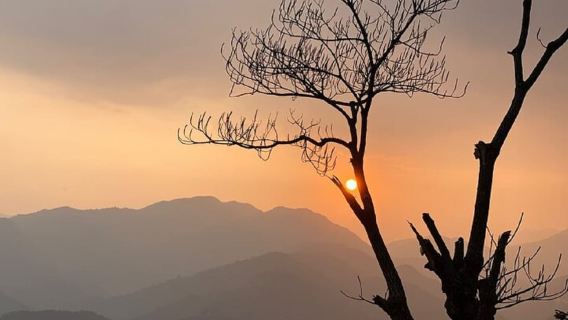 Pokhara: Excursión guiada de un día desde Dampus hasta el campamento base australiano