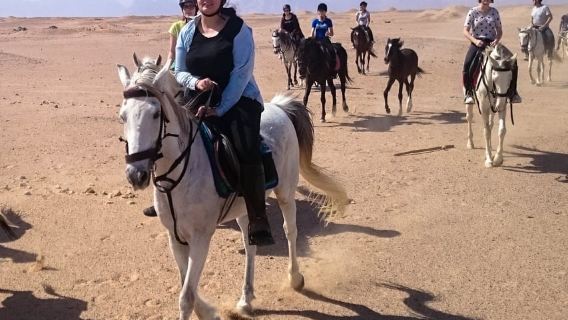Hurghada: Sonnenuntergang am Meer, Wüstenpferd mit Option, Abendessen, Sternenbeobachtung