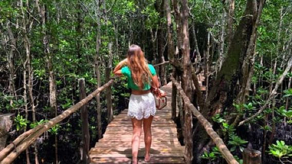 Zanzibar : visite de la forêt de Jozani et du sanctuaire des tortues marines