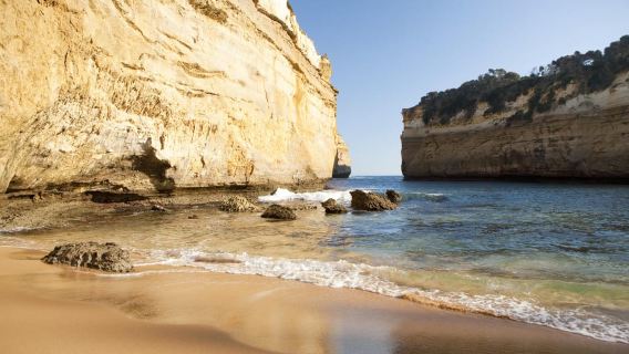 Переосмысленная Великая океанская дорога: однодневный тур из Мельбурна