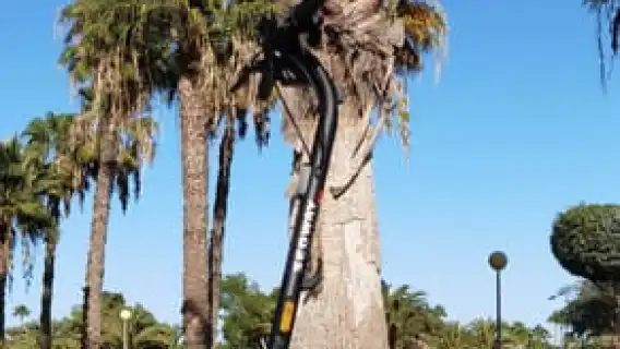 Maspalomas & Playa del Ingles: Guided Electric Segway Tour