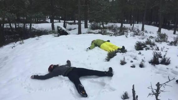 Stockholm: Tour đi bộ đường dài tham quan Khu bảo tồn thiên nhiên kèm bữa trưa lửa trại