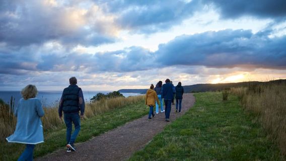 Apollo Bay: Recorrido de vida silvestre por la Great Ocean Road al anochecer