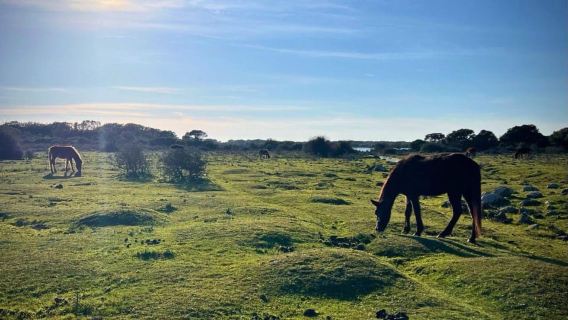 Dari Tuili: trekking di Taman Giara