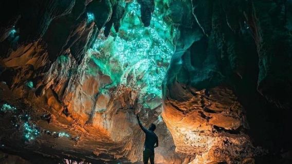 紐西蘭北島經典一日遊|藍泉秘境 + 懷託摩螢火蟲洞奇幻體驗