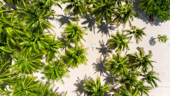 Oceanica Resort Day Use with South Farm