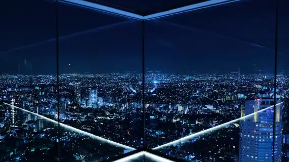 2-hour Shibuya tour: Shibuya Sky observation deck, scramble crossing and pop culture highlights