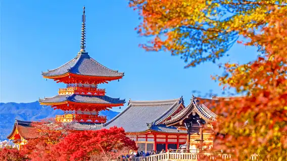 Taman Nara, Kuil Kiyomizu-dera Kyoto, dan Kuil Fushimi Inari: perjalanan satu hari untuk Memberi Makan Rusa dan Mengagumi Dedaunan Musim Gugur