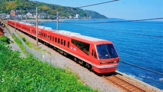 1-day holiday tour for small groups of 9: Izu Kyuko Line + Jogasaki Coast + Mt. Omuro, including train tickets