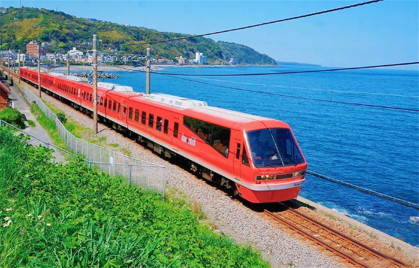 Treno panoramico di Izu + Costa di Jogasaki + tour di un giorno al Mt. Omuro, inclusi i biglietti del treno