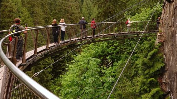 Capilano Suspension Bridge Park + Granville Island Public Market + Queen Elizabeth Park Day Tour