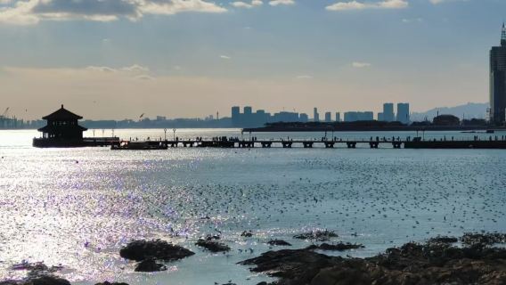 Zhanqiao Park + Badaguan Attraction + Xiaoyushan Hill + Beer Museum + Sailing Center + May Fourth Square