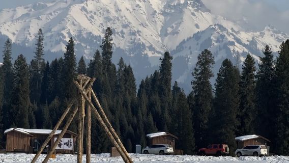 庫爾德寧冬季一日遊【景區自駕+純玩小團】【伊寧起止】一日跟團