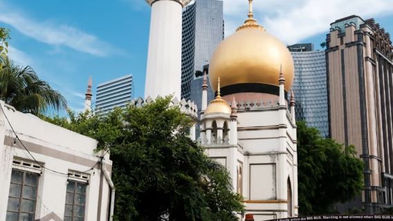 新加坡-科學中心-亞洲雨林探險園-觀光巴士【市區上門接駁】