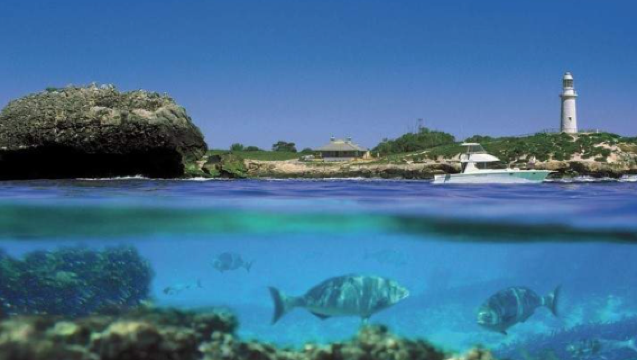 Billete de barco a la isla Rottnest desde Perth/Fremantle, Australia