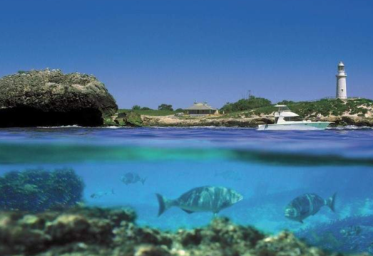 Ferries to Rottnest Island from Perth/Fremantle, Australia AUD 107.98