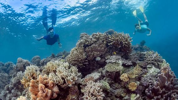 【開恩茲】太陽戀人號SUNLOVER摩爾外海大堡礁 翡翠島