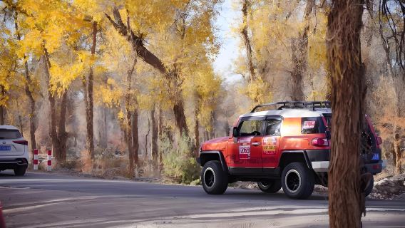 Kuqa, Xinjiang 139 Populus Euphratica Geheime Route + Shaya County Maanbaai Eendaagse Tour [Privé Overstap]