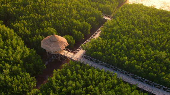 Dagelijkse ervaring bij de Noordelijke Zen Villa