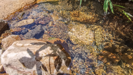 Lakeside forest + bamboo sea ancient village||-Liuxi River Forest Park - Conghua Xitou village route