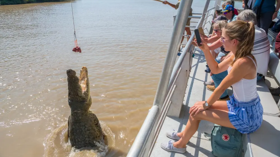 Passeio de 1 dia pelas paisagens urbanas de Darwin, Território do Norte + salto de crocodilos [Grupo em inglês | Transferências em vários pontos]