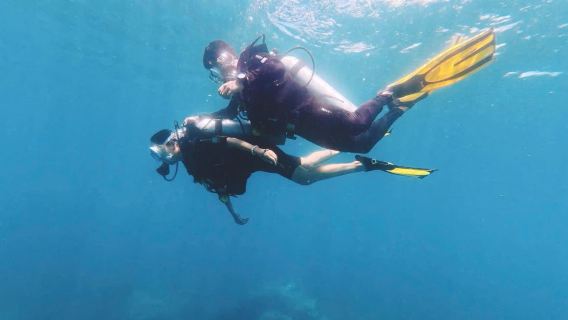 Nha Trang-Scuba Diving Experience & Coral Bay Day Tour by Speedboat