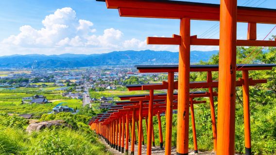 [Guaranteed Departure] Yanagawa River Cruise + Ukiha Inari + Yame Tea Museum from Fukuoka