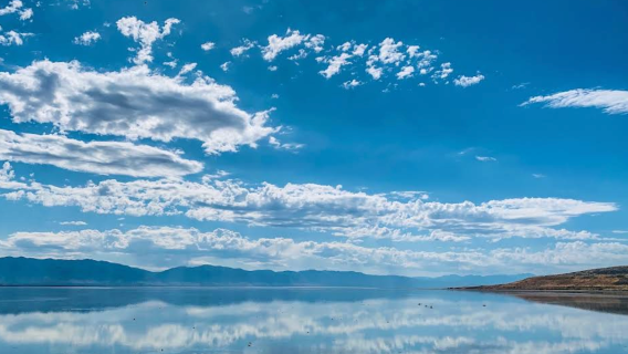 Amerika Syarikat Salt Lake City - Great Salt Lake - Taman Negeri Pulau Antelope [Kereta Khas - Kebebasan Penuh]