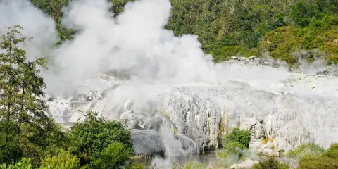 奧克蘭來回蒂普亞毛利文化村+懷·歐·塔普地熱仙境包車+不含票