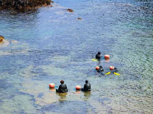 제주: 동부 유네스코 투어 성산일출봉, 해녀쇼, 용암동굴