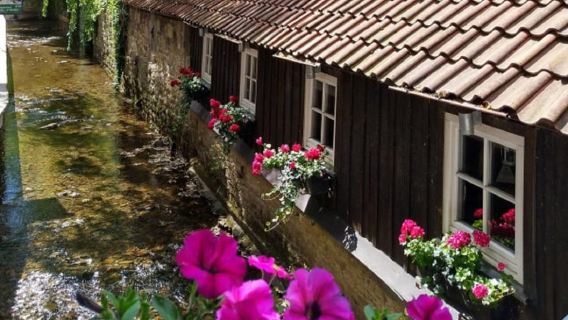 Goslar - „Nachmittäglicher Spaziergang“ Stadtrundfahrt