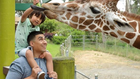 San Francisco: Six Flags Discovery Kingdom Admission Ticket