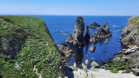 Port-Navalo: Full-day round-trip crossing to Belle-Île-en-Mer