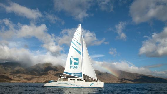 Maui: Honolua Bay Snorkel Sail from Lahaina Harbor