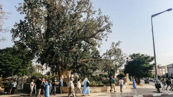 From Jerusalem: Bethlehem, Jericho and Jordan River Tour