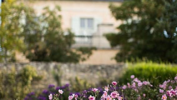 Pommard: Clos Marey Monge Signature Wine Tasting